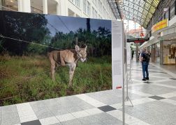 Jena Zeigt World Press Photo 2021 0008